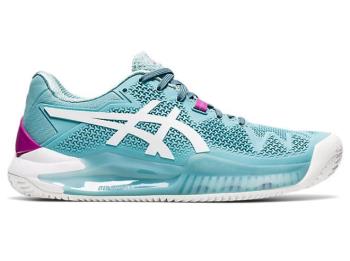 Asics Kadın GEL-Resolution 8 Clay Tenis Ayakkabısı TR942YP